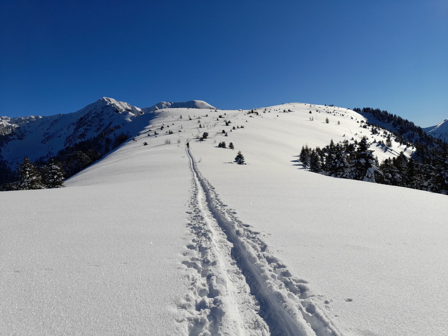 History of snowshoeing Cecilia Mariani